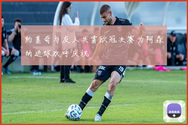 约基奇与友人共赏欧冠决赛为阿森纳进球欢呼庆祝